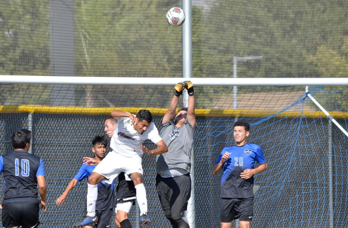 Quick Start, Strong Finish Propel Wolverines to Win