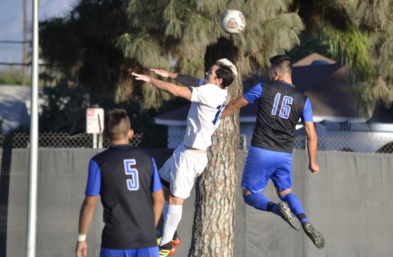Wolverines' Title Hopes Disappear Late in Loss