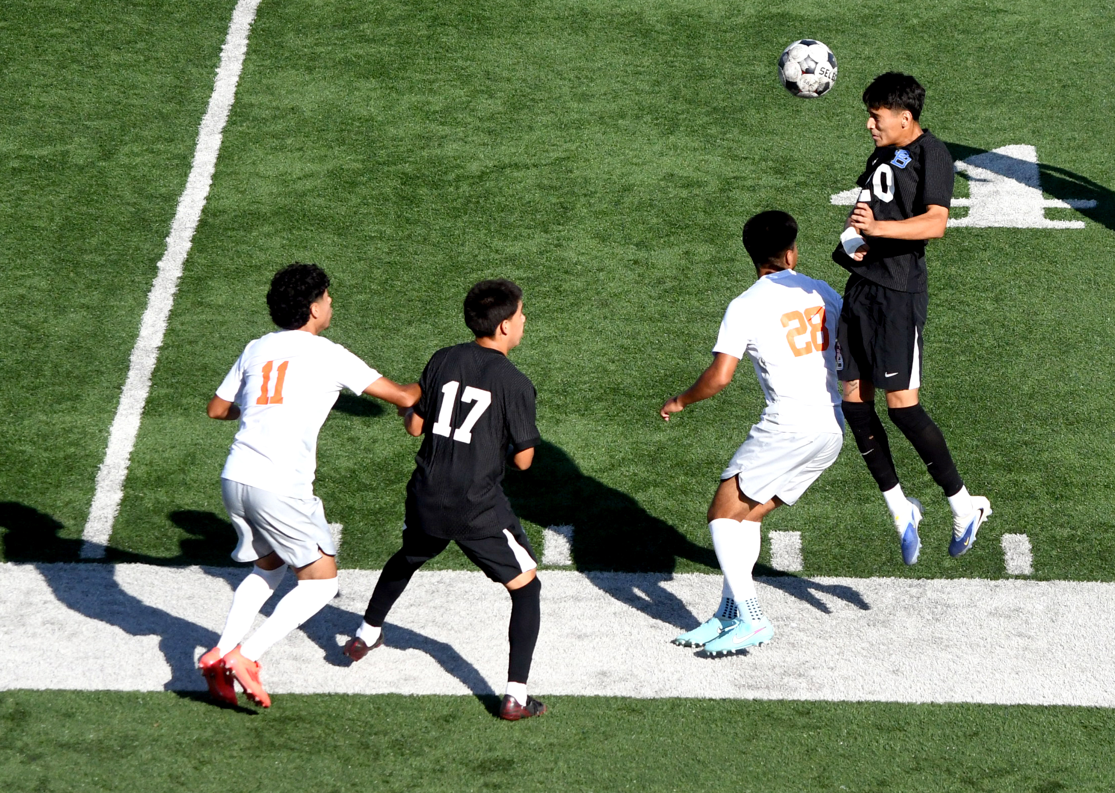 SBVC Chops Down Sequoias
