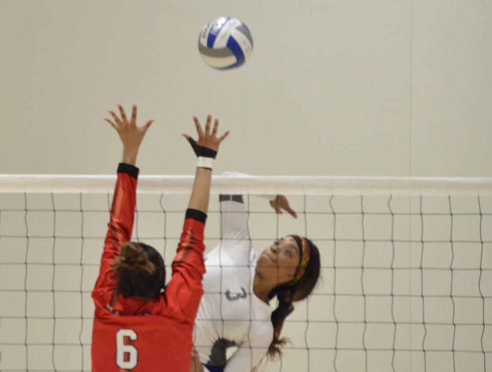 Rally Falls Shorts for Wolverines Against MSJC